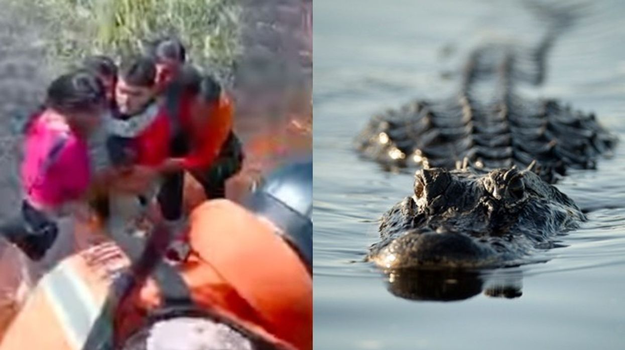 Aeroplani i tyre u rrëzua në mes të një moçali në Amazonë plot me aligatorë dhe anakonda - ata mbijetuan për 36 orë