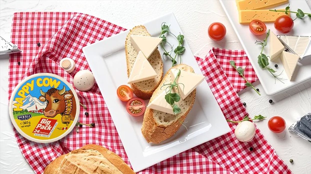 Receta e ditës, sandwich i lehtë me dajthin e butë legjendar Happy Cow