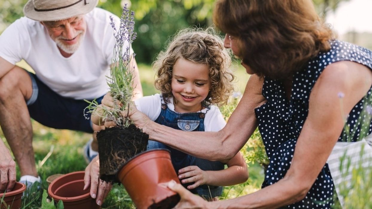 Ngrohtësi dhe siguri, gjashtë arsye pse gjyshërit janë thelbësorë në jetën e nipërve dhe mbesave