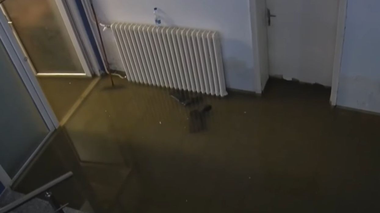 Rrezikohet shëndeti i studentëve, bodrumi i Fakultetit Ekonomik i mbushur me ujëra të zeza