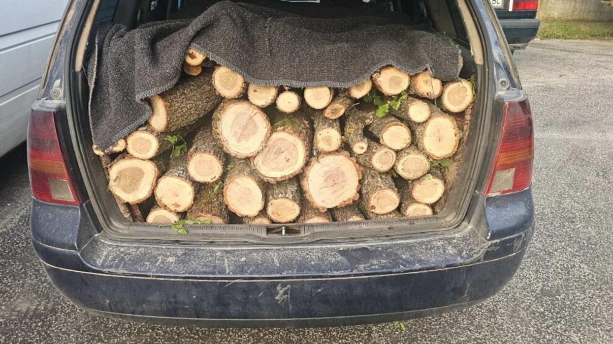 Transportonin dru pa dokumentacion përkatës, ndalohen dy banorë të Bllacës