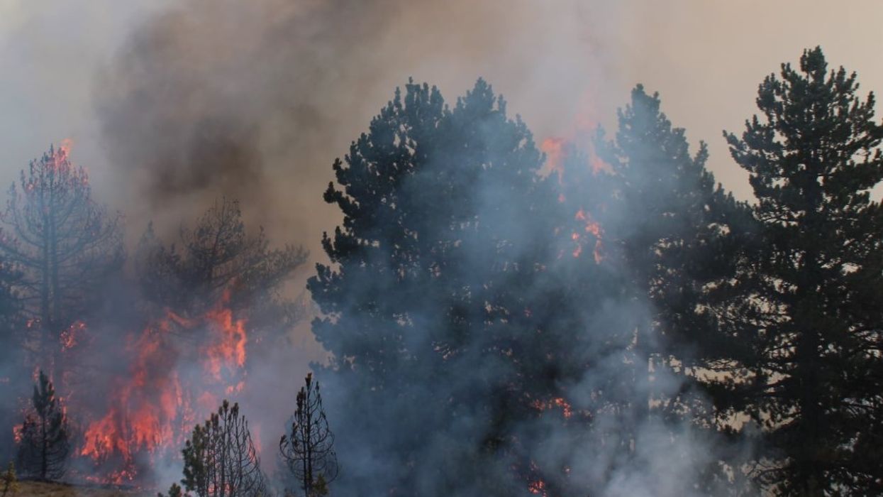 Temperaturat e larta, Agjencia e menaxhimit emergjent me apel për kujdes: Mos ndizni zjarre