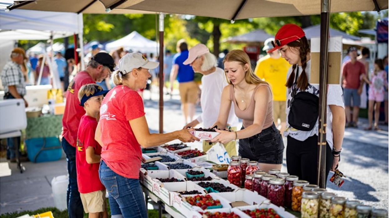 Ky frut ka fuqi të jashtëzakonshme - vepron si “pastrues” i yndyrës, sheqerit dhe kolesterolit