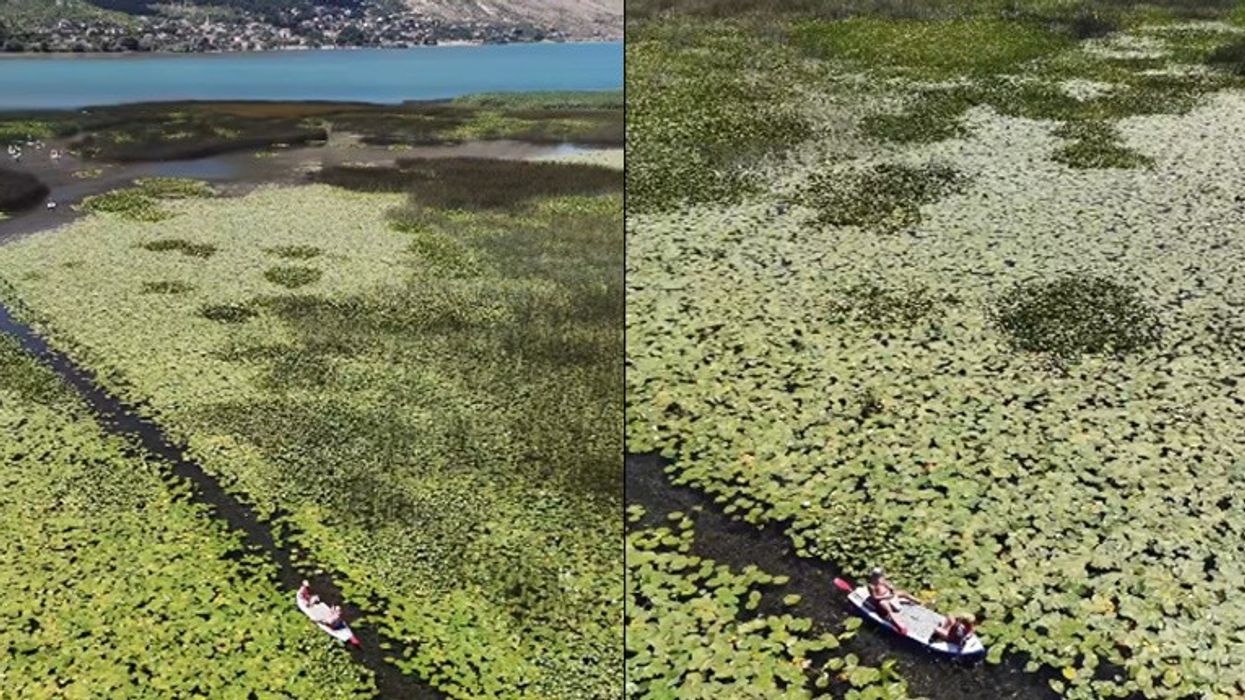 “Mirëmëngjesi me Liqenin e Zambakëve”, Edi Rama ndan pamje magjepse nga Shkodra