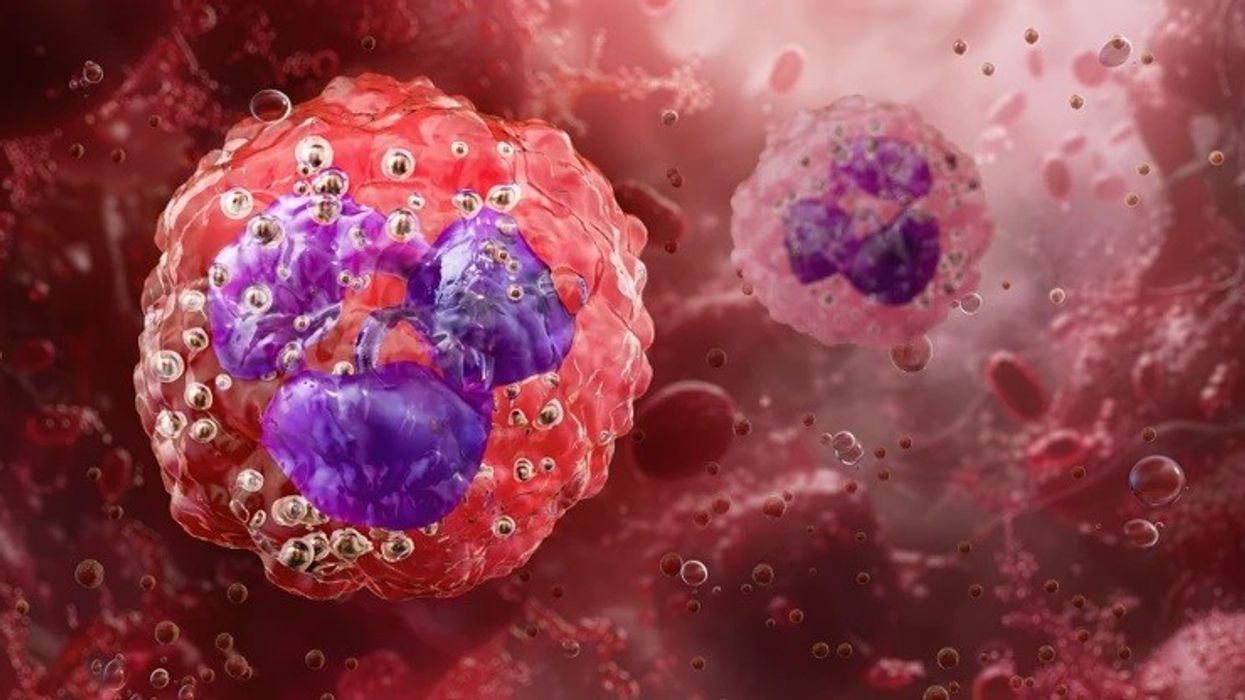 Kur plagët dhe infeksionet e shpeshta nuk shërohen: Çfarë tregon rritja e neutrofileve në gjak