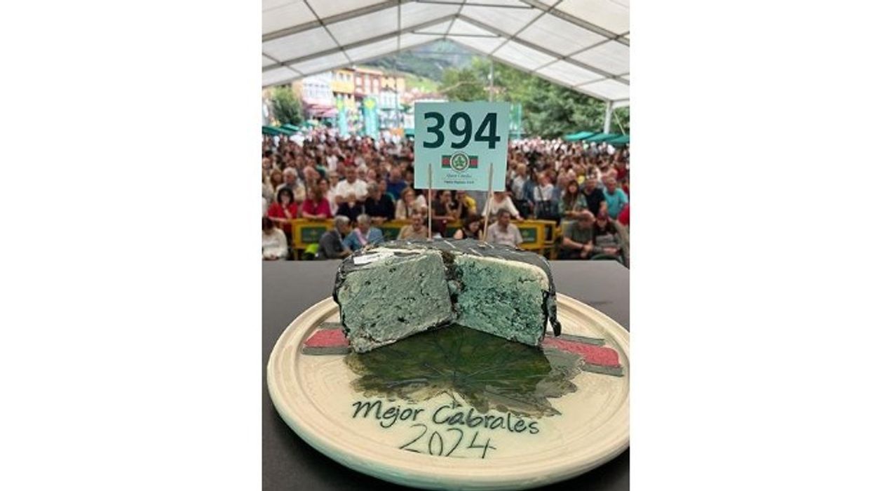 Djathi më i shtrenjtë në botë shitet për 42,232 dollarë