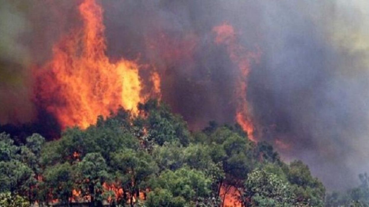 Zjarr në Kavajë, rrezikohen banesat