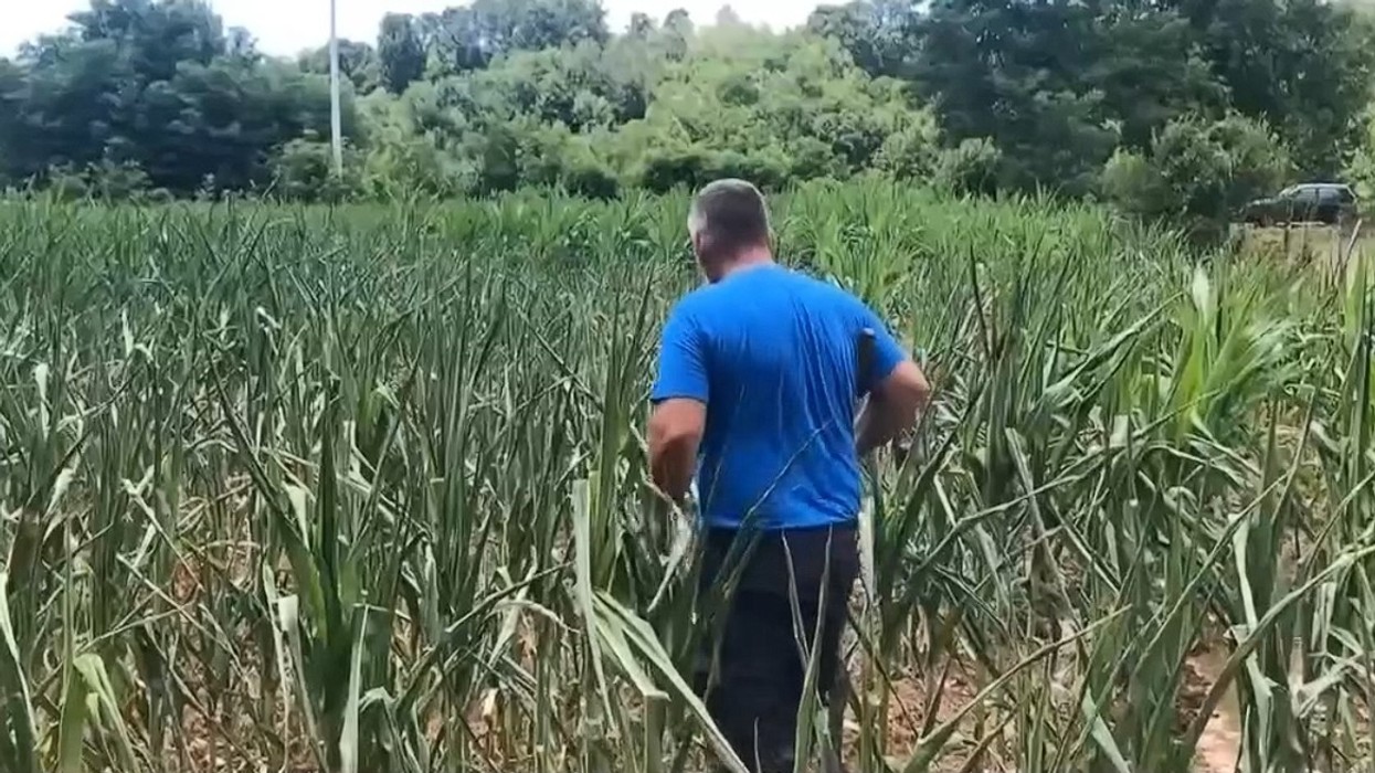 Mungesa e ujit, ankohen fermerët në fshatrat e Gjakovës