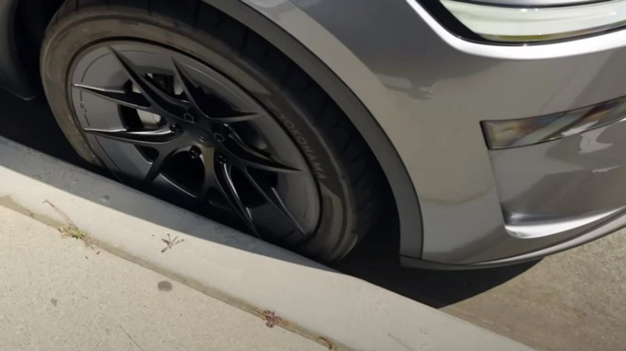 Harroni gërvishtjet, këto fellne "riparohen" vetë dhe duken gjithmonë si të reja