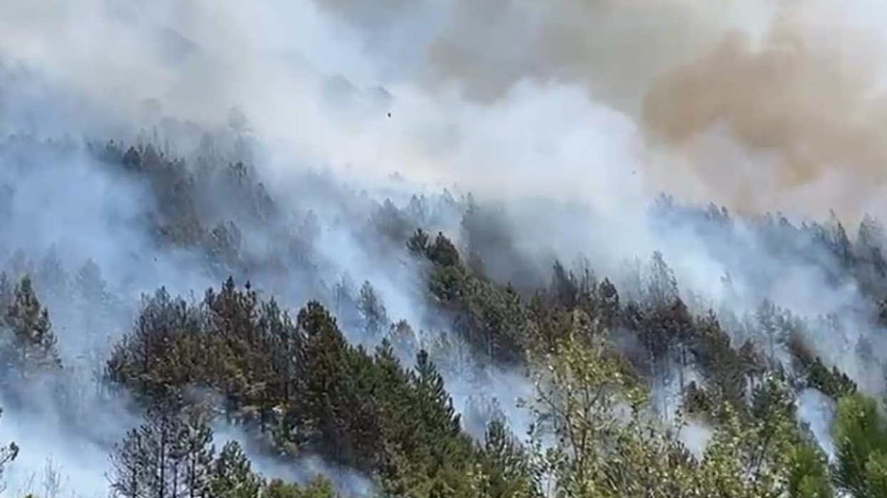 Flakët në malin e Dukatit jashtë kontrollit, digjen sipërfaqe të mëdha me pisha