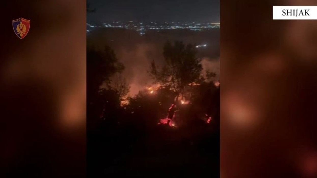 Shkaktoi zjarrin në pyllin e fshatit Shetel, arrestohet 58-vjeçari