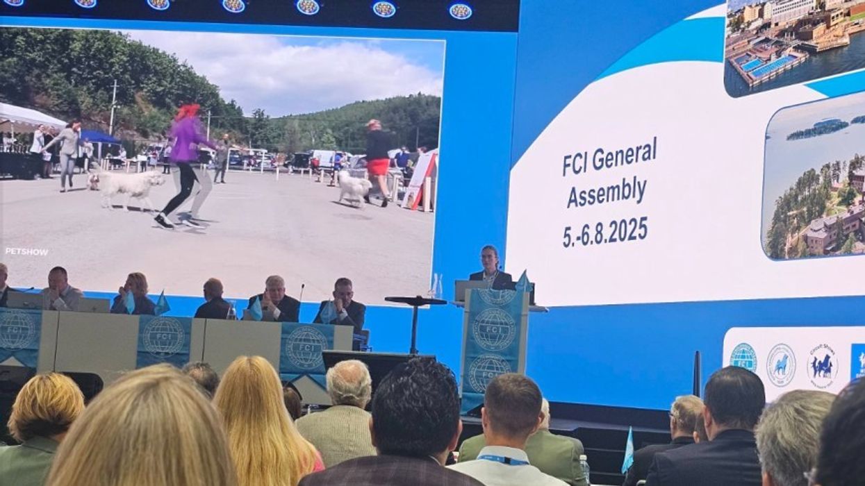 Kosova hyn në elitën botërore të qenve – Federata Kinologjike pranohet nga FCI