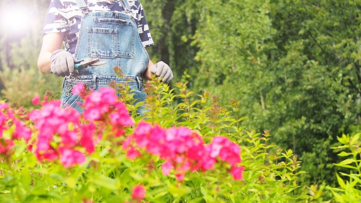 Lulet nuk po çelin? Ndoshta po dëmtoni sythat - pa e kuptuar