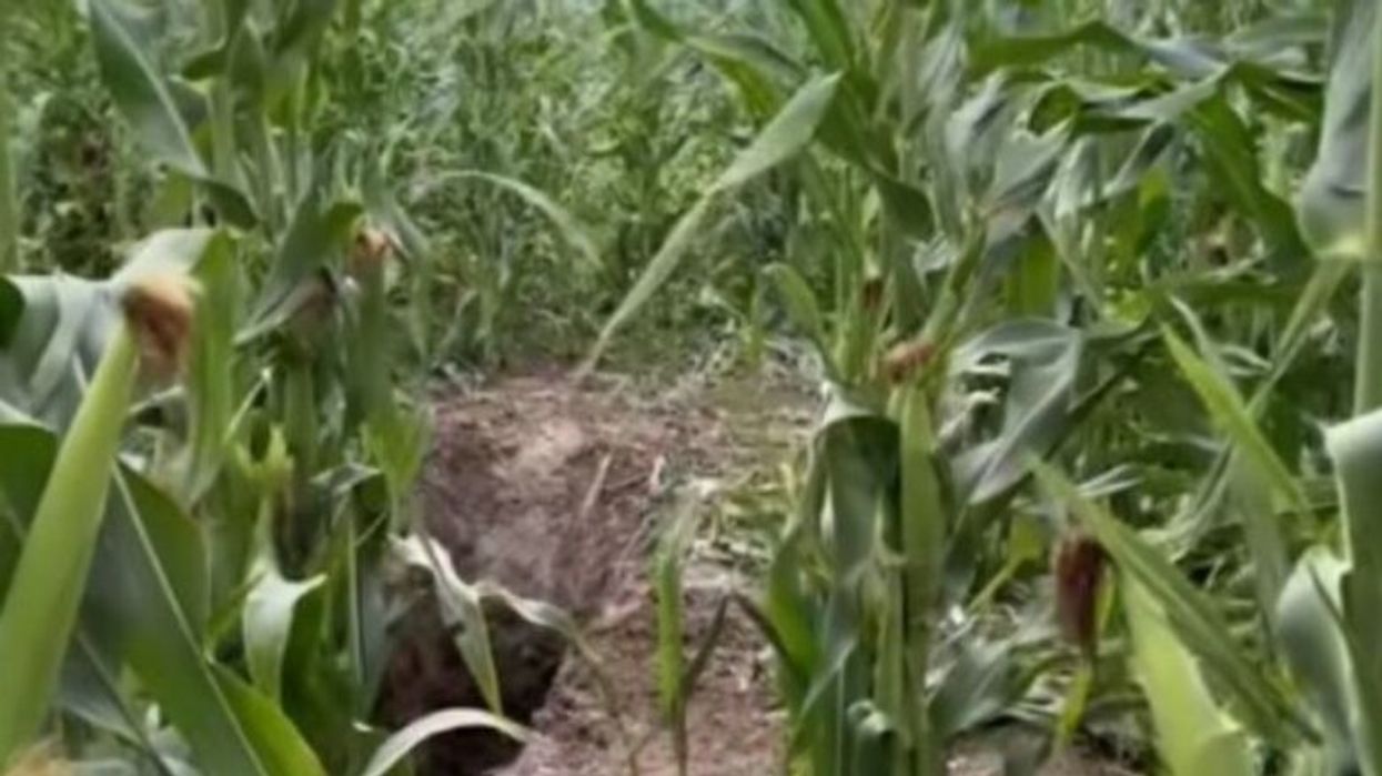 Një muaj paraburgim për të dyshuarin për vrasjen dhe varrosjen e Enver Bajraktarit në Lipjan