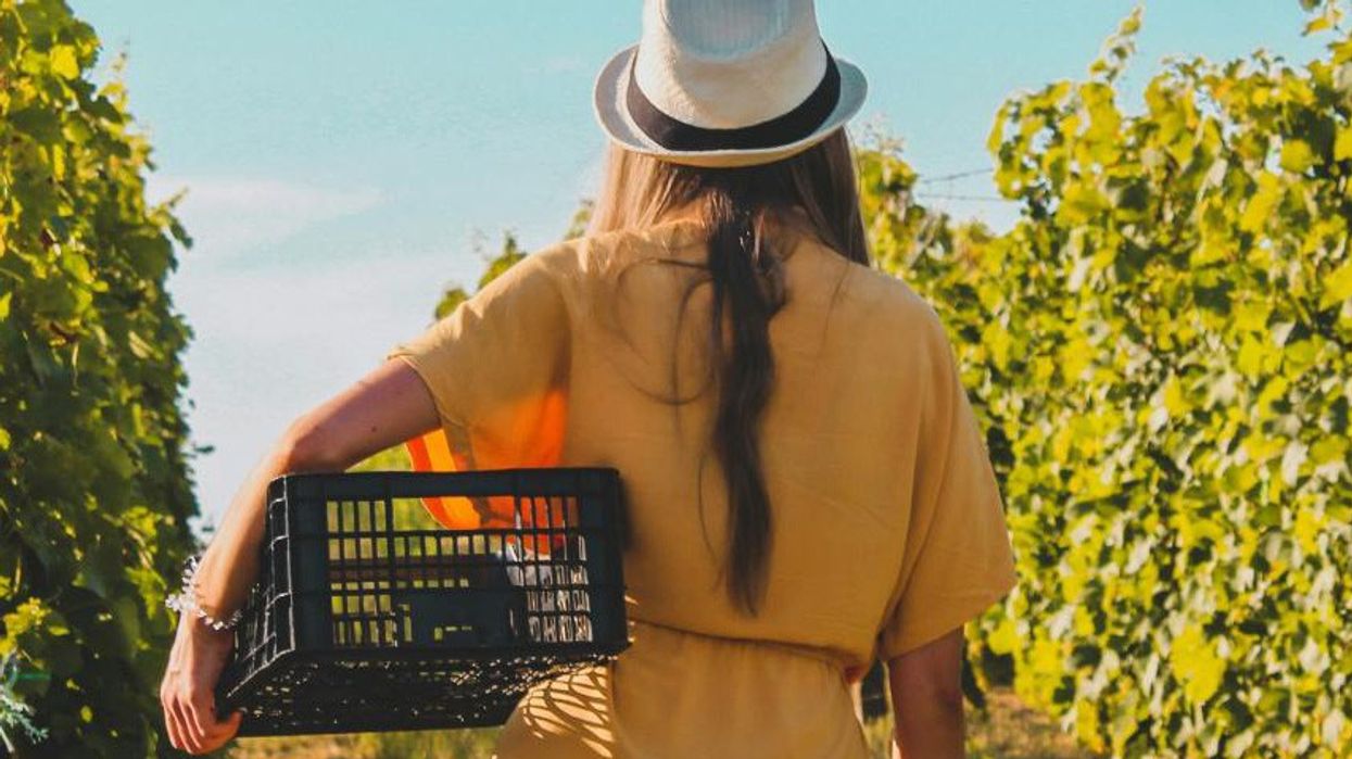 Agroturizmi në Shqipëri, Qeveria fton turistët të përdorin aplikacionin “agriturism.al”