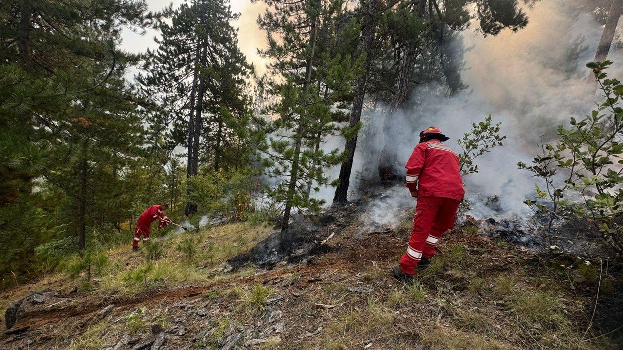 Reshjet e shiut ulin rrezikun nga zjarret në Shqipëri, nën monitorim vatra në Parkun Natyror të Kolonjës