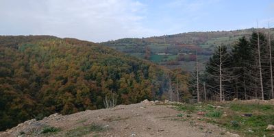 Dyshime për varrezë masive në Novi Pazar