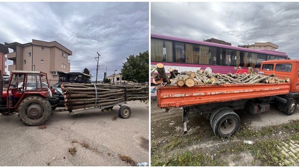 Policia e Pejës arreston tre persona për prerje dhe degradim të pyjeve në Klinë