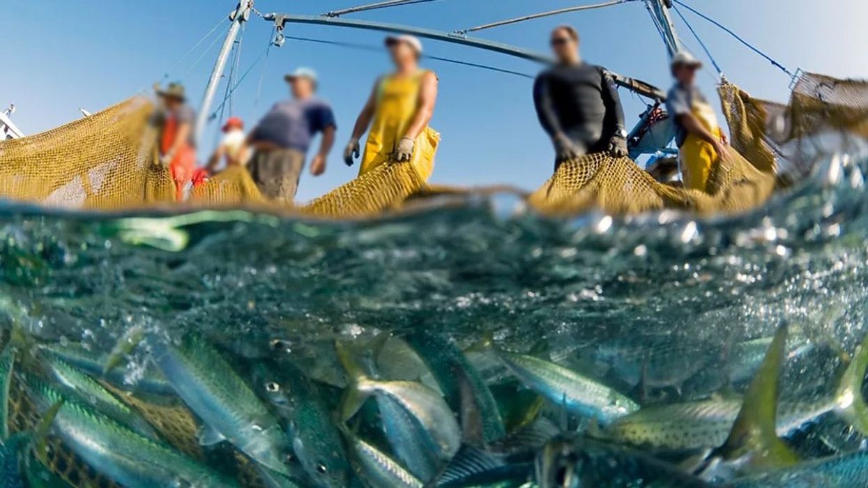 Peshqit e lumenjve të tharë bartën në liqenet e Badovcit dhe Batllavës