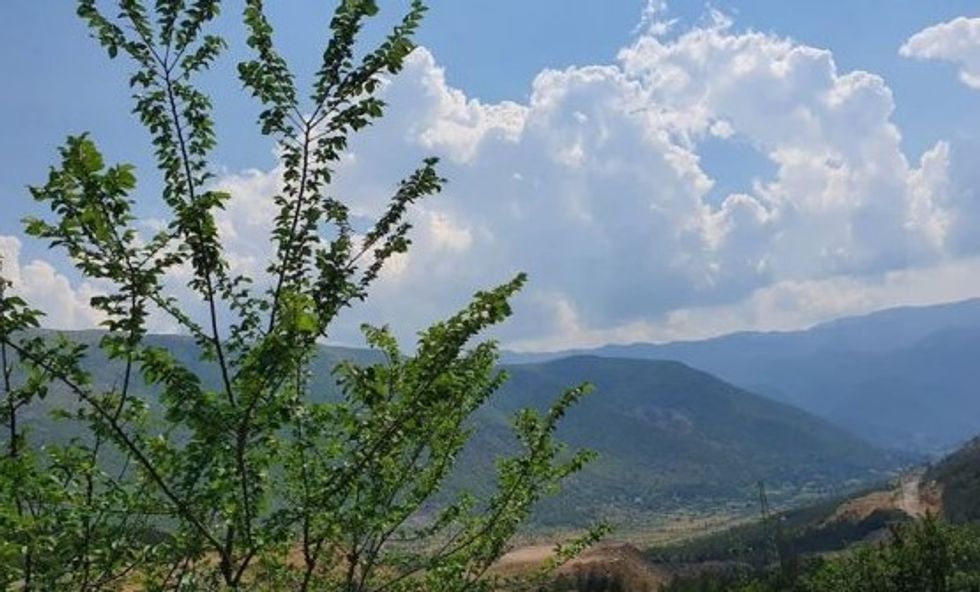 Parashikimi i motit në Shqipëri