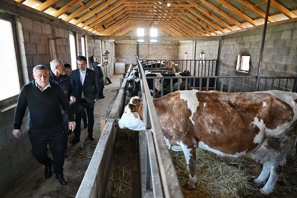 Çeku: Mbështetje për femerët dhe produktet vendore