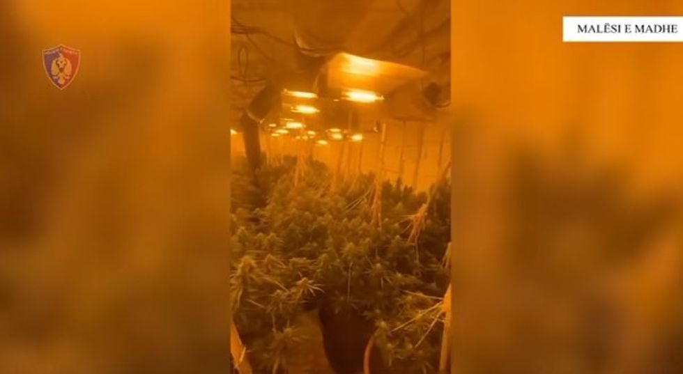 Policia publikon pamje nga operacioni “Neonët 2”, arrestohet një 22-vjeçar, procedohet penalisht nëna e tij dhe shpallet në kërkim babai