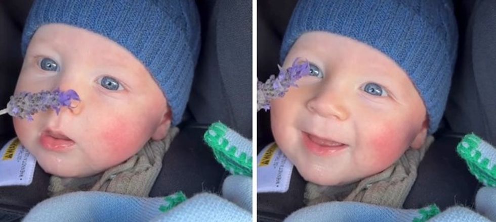 Shikoni reagimin e foshnjës ndaj aromës së livandës