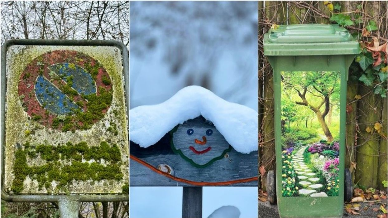 Disa fotografi që nuk kanë nevojë për shpjegim Disa fotografi që nuk kanë nevojë për shpjegim