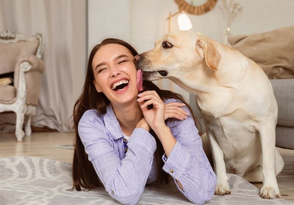 Lëpirja e qenit nuk është  puthje   Kuptimi i vërtetë pas këtij veprimi