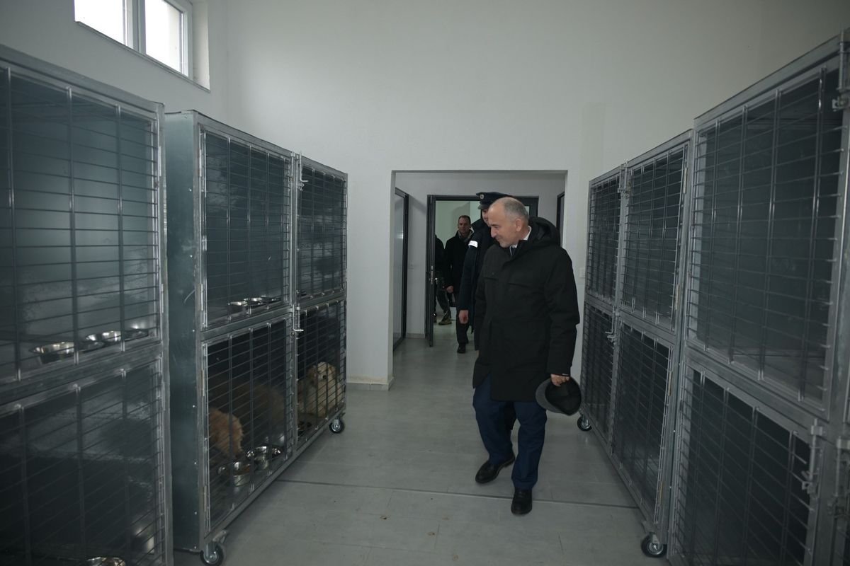 Peja hap ambulantën për trajtimin dhe kastrimin e qenve endacakë Peja hap ambulantën për trajtimin dhe kastrimin e qenve endacakë