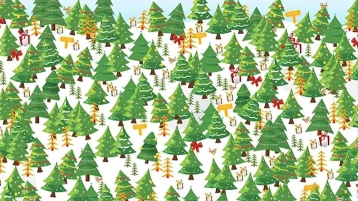 A mund ta gjesh të vetmen pemë të Krishtlindjeve me një yll?