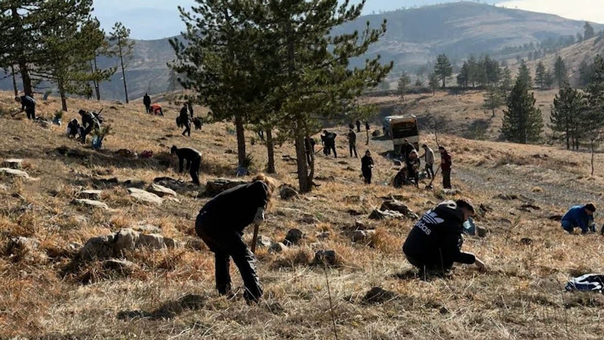 Nismë pyllëzimi në Parkun Natyror Munellë, 1100 fidane të mbjellur në Kukës