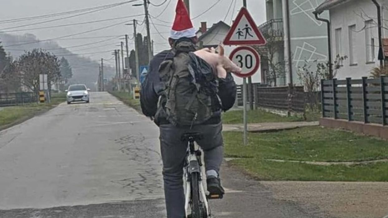 Një burrë në Kroaci po ngiste biçikletë dhe mbante në çantën e shpinës mbante një derr të vogël Një burrë në Kroaci po ngiste biçikletë dhe mbante në çantën e shpinës mbante një derr të vogël