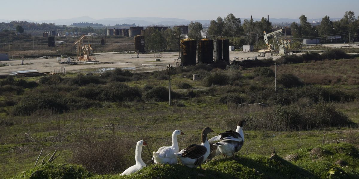 Nafta që ‘vret’: Patos-Marinza shpërthen në sëmundje malinje Nafta që ‘vret’: Patos-Marinza shpërthen në sëmundje malinje