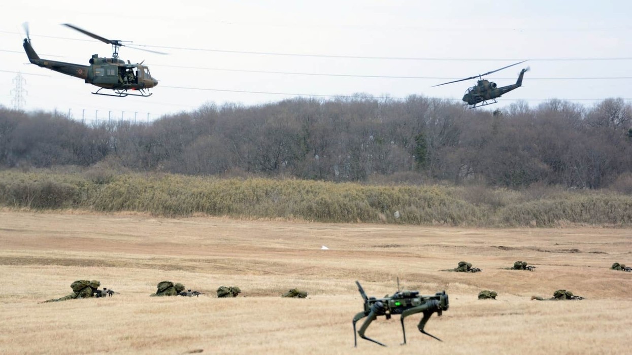 Japonia përdor qen robotikë gjatë stërvitjes