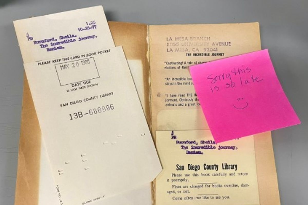 Një bibliotekë në Kaliforni ka marrë një surprizë të pazakontë - një libër i kthyer pas gati 46 vitesh vonesë Një bibliotekë në Kaliforni ka marrë një surprizë të pazakontë - një libër i kthyer pas gati 46 vitesh vonesë