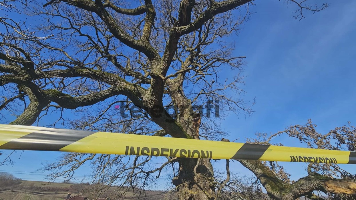 “Lisi i Mujës” në Nagavc të Rahovecit, monument nën mbrojtje që po shndërrohet në rrezik për banorët
