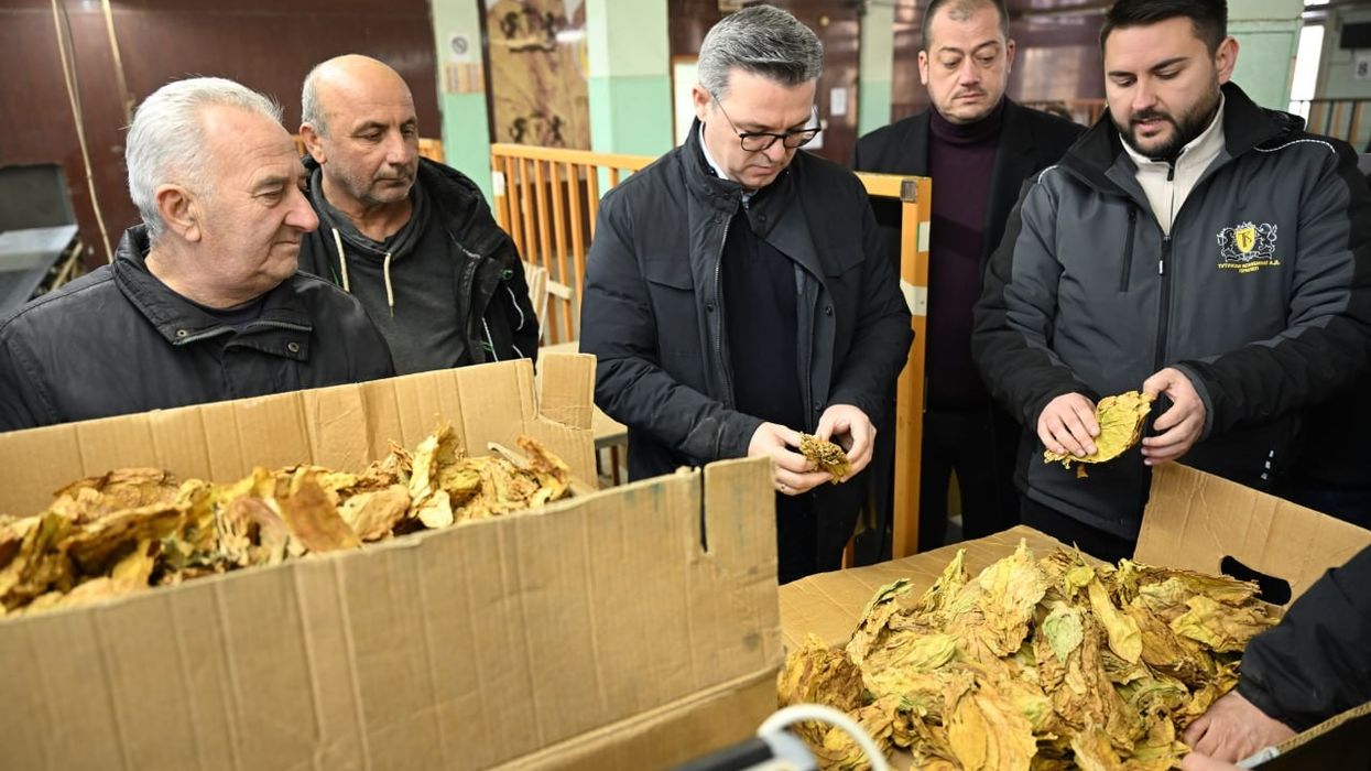 Tripunovski: Deri më tani janë blerë 25.3 milionë kilogramë duhan me vlerë 170 milionë euro Tripunovski: Deri më tani janë blerë 25.3 milionë kilogramë duhan me vlerë 170 milionë euro