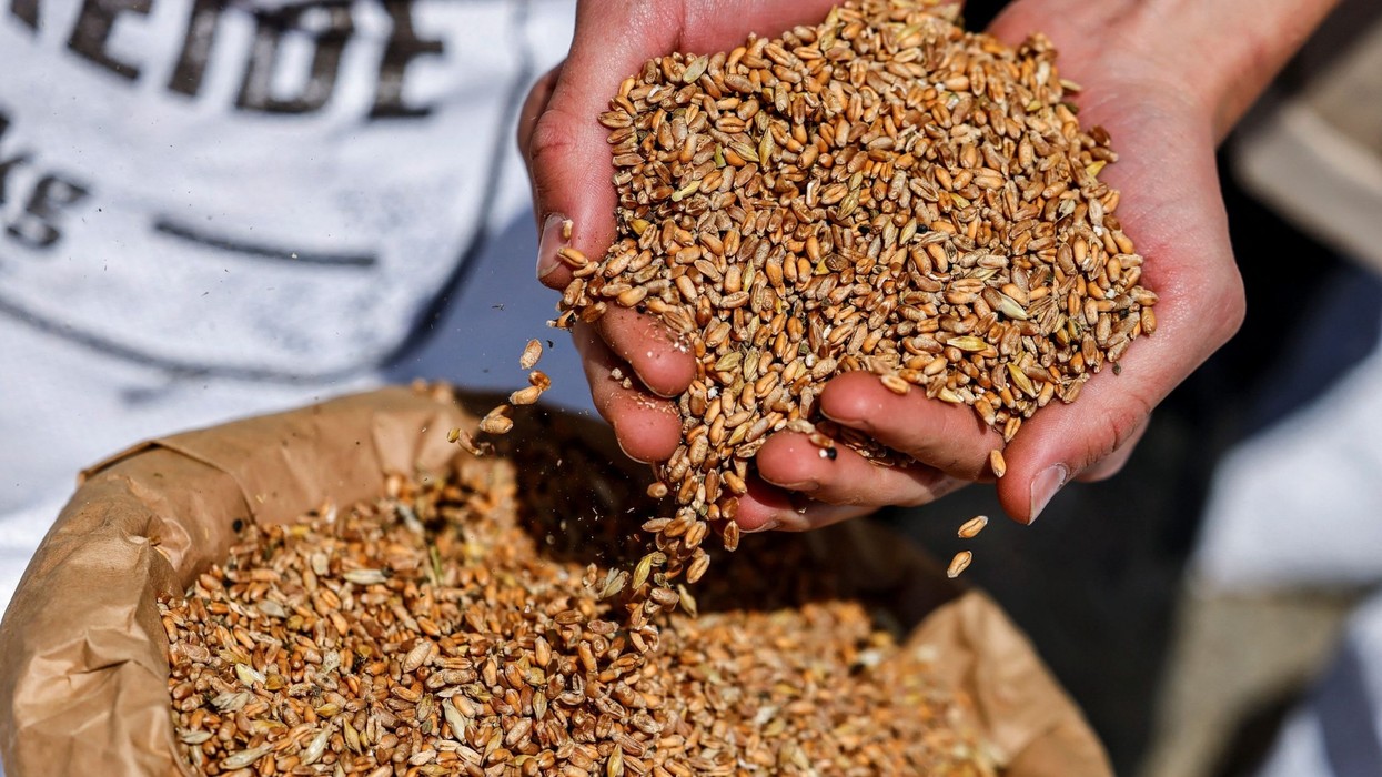 Shtohet toka djerrë, Shqipëria blen më shumë drithë nga jashtë - kryeson Serbia
