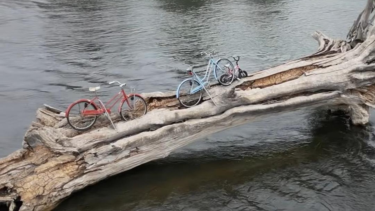 Mister në Montana, tre biçikleta të ngulitura në një trung mbi lum