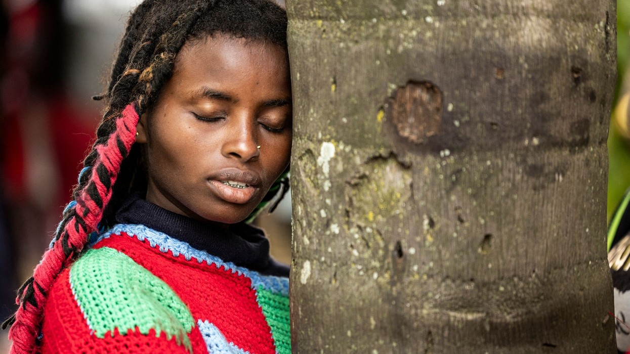 Aktivistja keniane thyen rekord botëror duke përqafuar një pemë për 72 orë