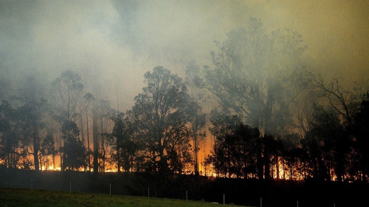 Zjarrfikësit po luftojnë me të paktën gjashtë zjarre të mëdha, nga vala e të nxehtit që ka përfshirë disa pjesë në Australi