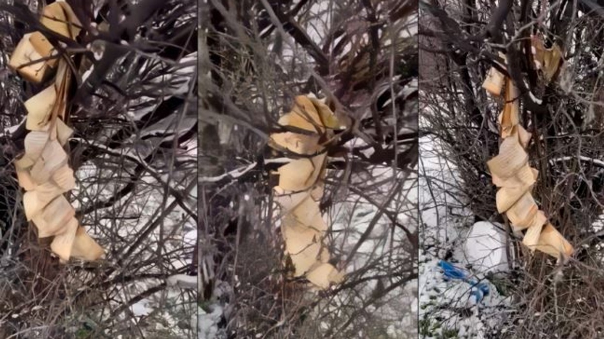 Dëmtohet Kurani në Gjakovë - policia nis hetimet