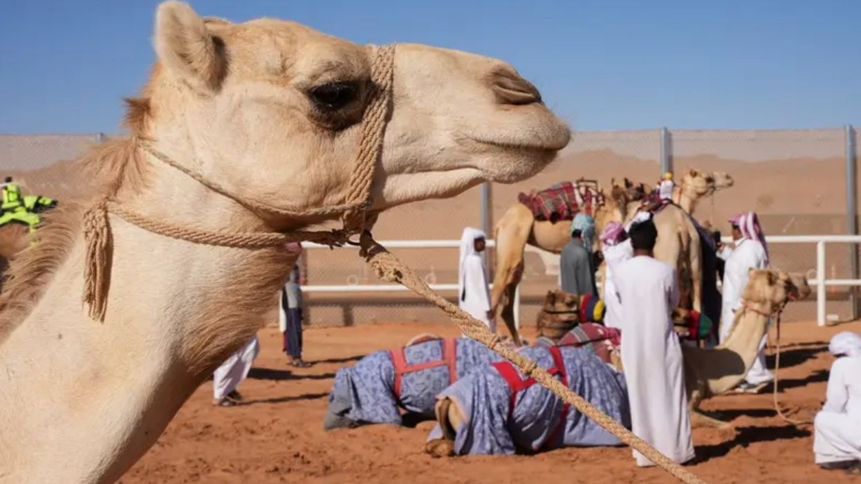 Arabia Saudite do të lëshojë pasaporta për devetë Arabia Saudite do të lëshojë pasaporta për devetë