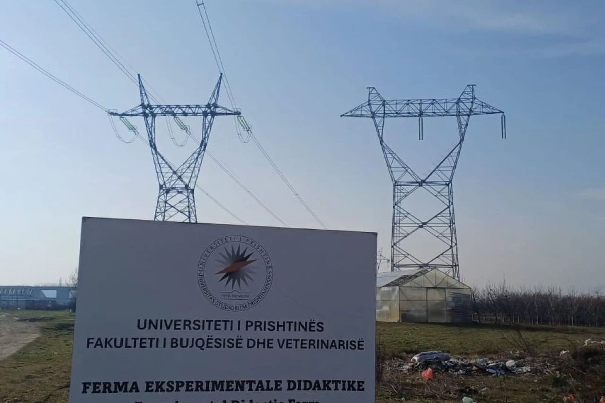 Zhvendoset shtylla e tensionit të lartë pranë objektit të Fakultetit të Bujqësisë dhe Veterinarisë Zhvendoset shtylla e tensionit të lartë pranë objektit të Fakultetit të Bujqësisë dhe Veterinarisë