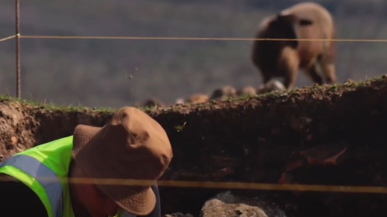 Zbulohet një vendbanim i ri arkeologjik në zonën e Lushnjës Zbulohet një vendbanim i ri arkeologjik në zonën e Lushnjës