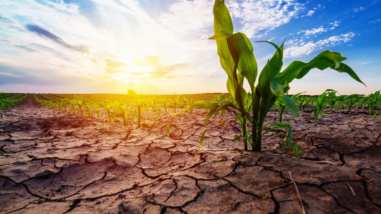 Meteorologët paralajmërojnë një verë të nxehtë - çfarë parashikojnë për rajonin tonë Meteorologët paralajmërojnë një verë të nxehtë - çfarë parashikojnë për rajonin tonë