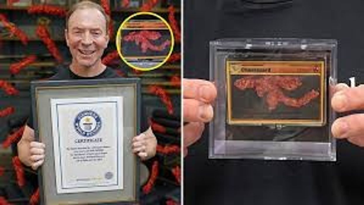 Ankandi 'Cheetozard' rezulton në një rekord botëror Guinness Ankandi 'Cheetozard' rezulton në një rekord botëror Guinness