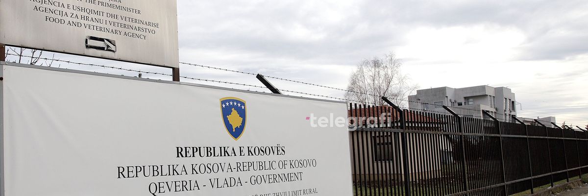Konfirmohet rast i sëmundjeve infektive tek gjedhët në Lubishtë të Vitisë Konfirmohet rast i sëmundjeve infektive tek gjedhët në Lubishtë të Vitisë