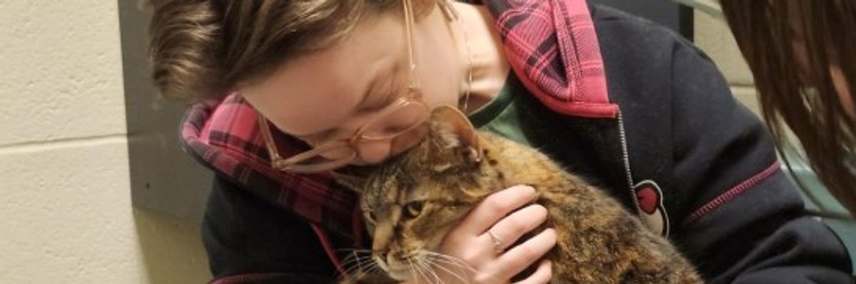 Macja e humbur ribashkohet me familjen në Maryland pas 5 vitesh Macja e humbur ribashkohet me familjen në Maryland pas 5 vitesh